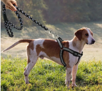 Dog leash dog chain than teddy bear chest straps small dogs collar dog noctilucent rope pet products