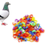 100pcs Useful Diameter 8 Mm Pet Products Home Garden Plastic Color Randomly Pigeon Clip Rings Poultry Leg Rings